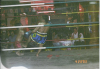 Midget kickboxing near Walking Street